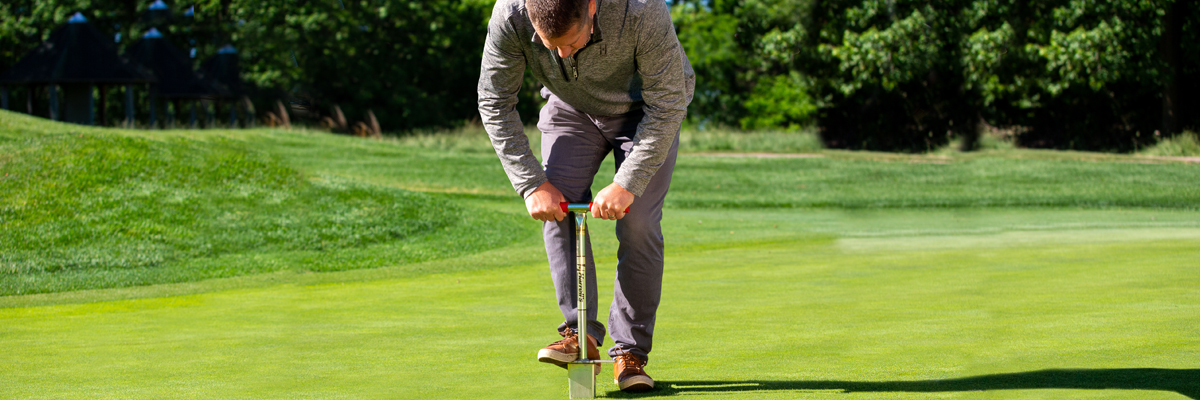 Root sampling on a golf course green